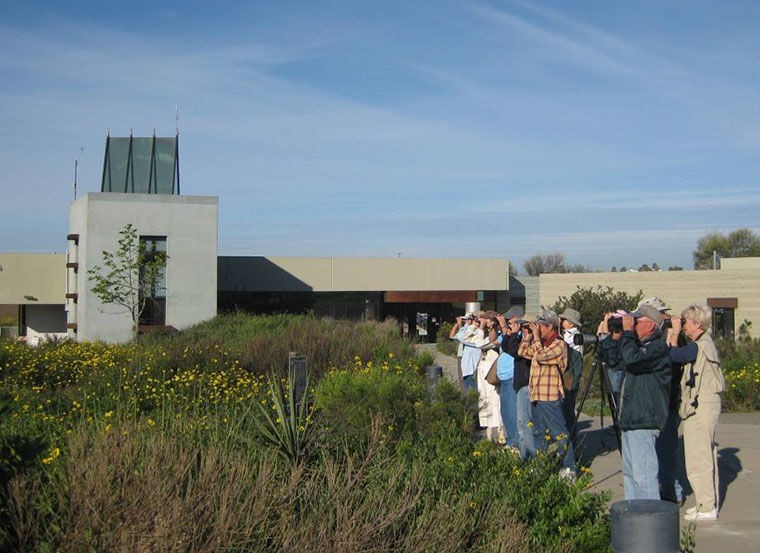 Bird Walks Begin August 1st ...